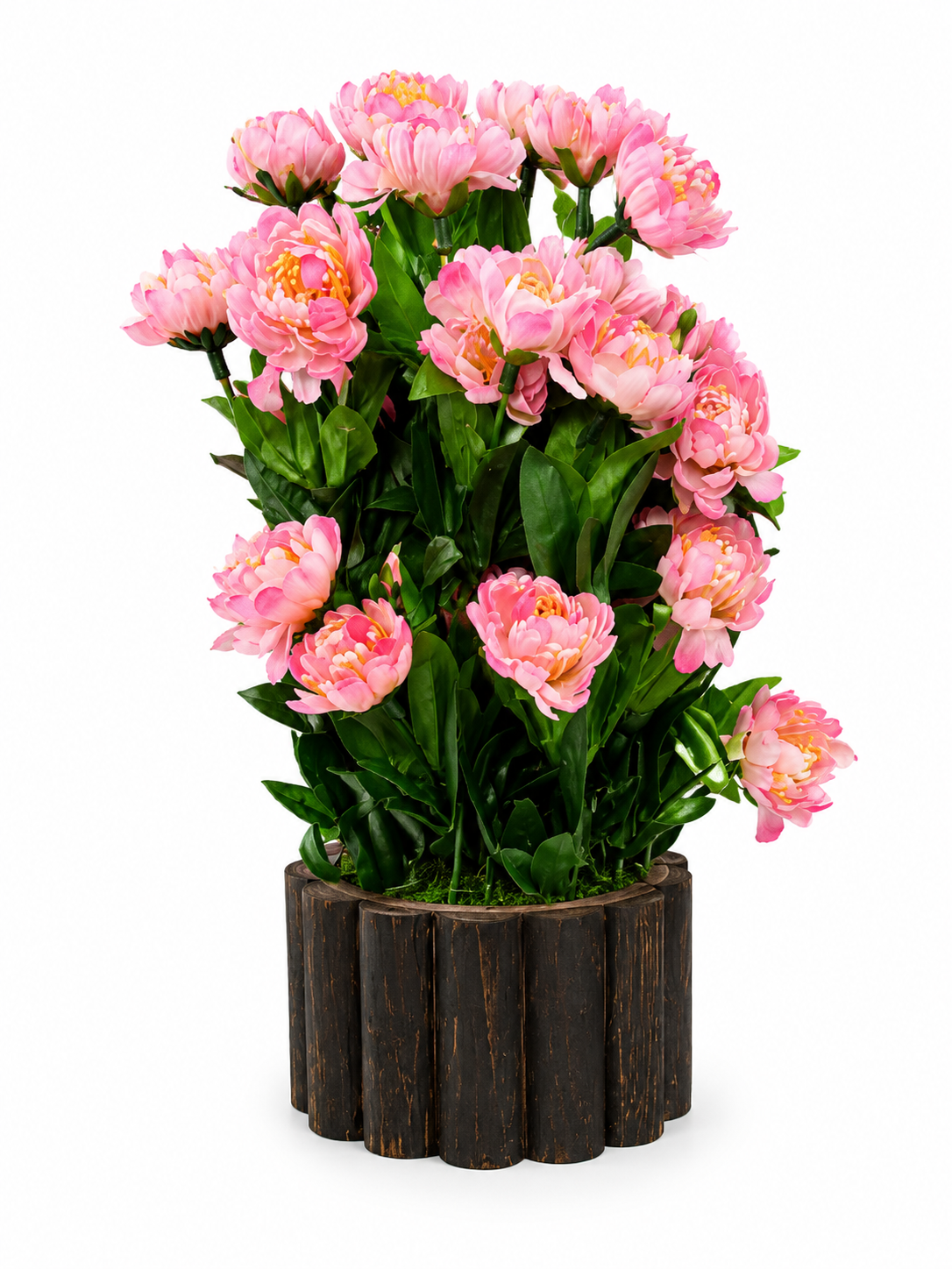 Artificial Chrysanthemum Flower Plant – Pink & Orange with Decorative Pot